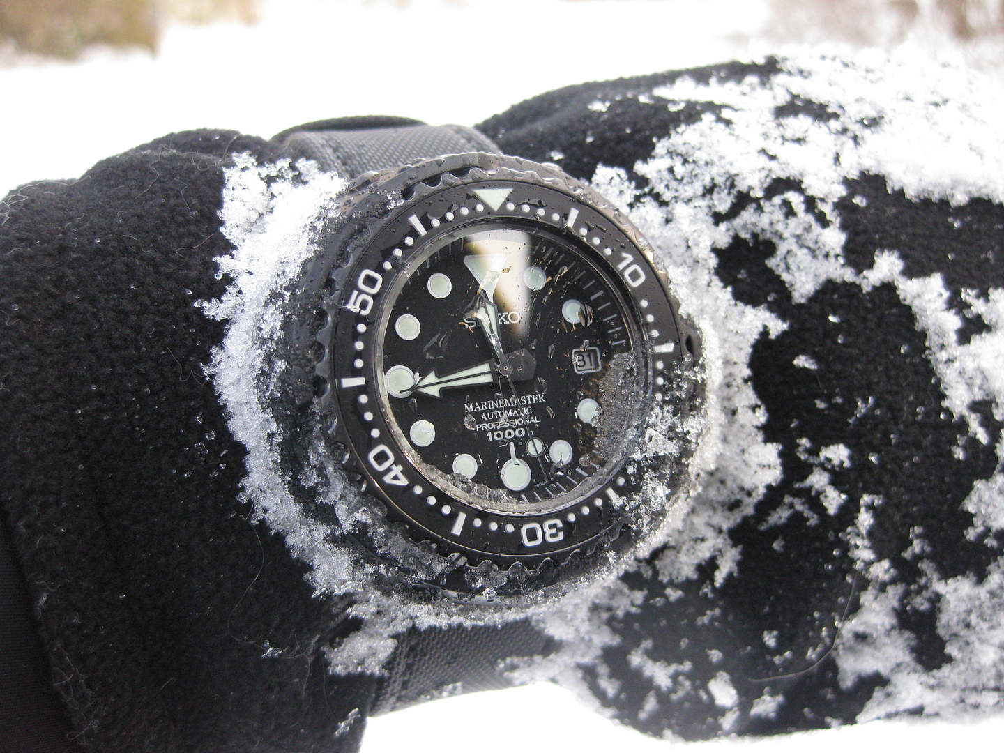 citizen promaster vs seiko prospex